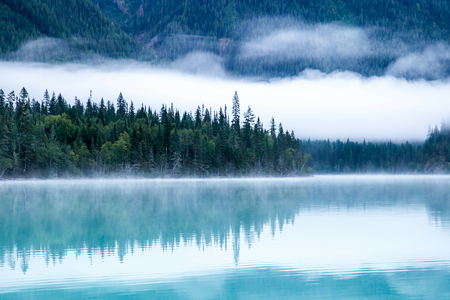 Introducing CCWX - Canada Climate Week Xchange